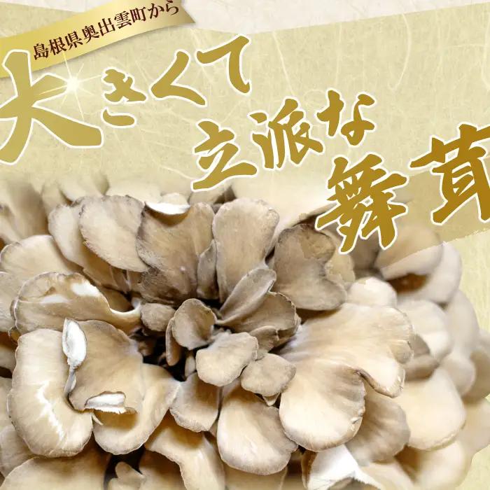 旨味と香りがあふれる奥出雲舞茸4株【舞茸 まいたけ きのこ 野菜 丸ごと 4株 約2kg 国産 無農薬 安全 安心 食物繊維 健康 産地直送 プレゼント ギフト 贈り物】