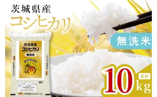 【数量限定】茨城県産 無洗米コシヒカリ10kg（5kg×2袋）【お米 ごはん こしひかり おにぎり ごはん 茨城県 水戸市】(JB-19)