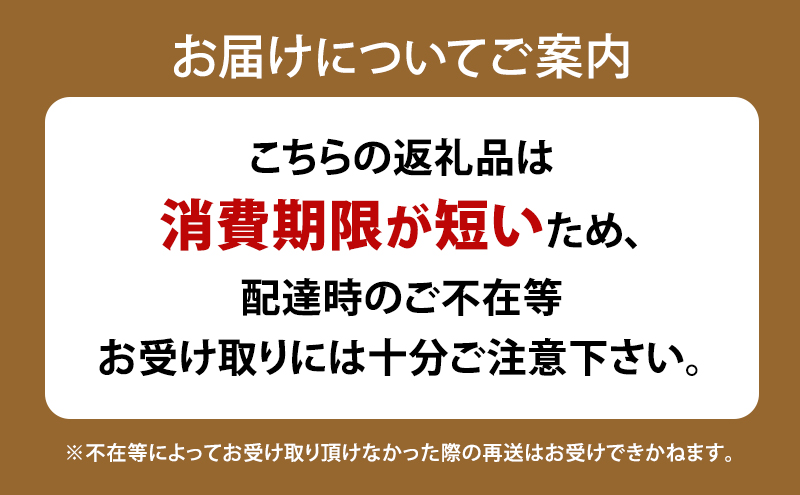 高級デニッシュ食パン「MIYABI」ミヤビパン 人気3本セット (プレーン1.5斤、ショコラ、メープル×各1本)　パン 食パン 高級食パン デニッシュ食パン ふんわり しっとり もっちり 宮家献上品 