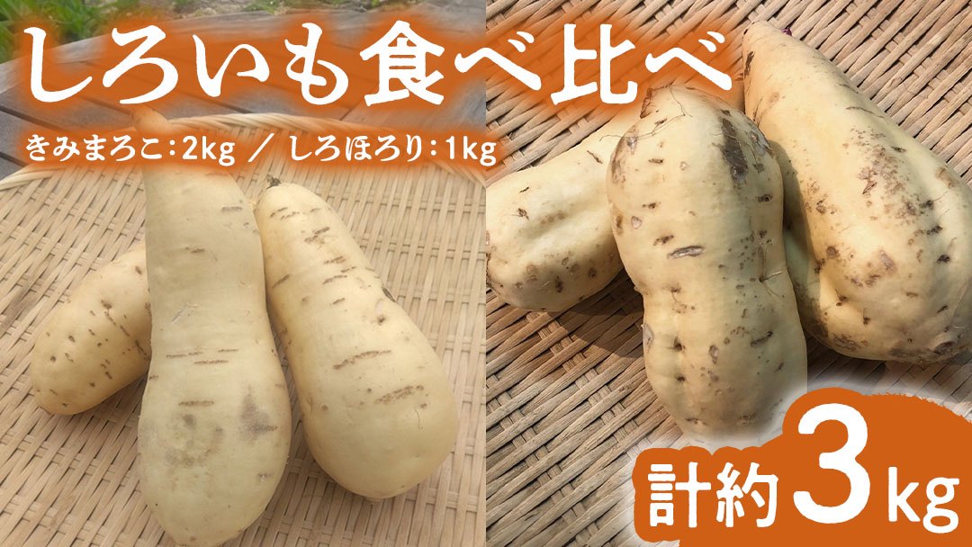 みずほの村市場牛久店  しろいも 食べくらべ （ きみまろこ 2kg しろほろり 1kg）計約3kg  甘い 芋 いも サツマイモ スイーツ 野菜 珍しい野菜