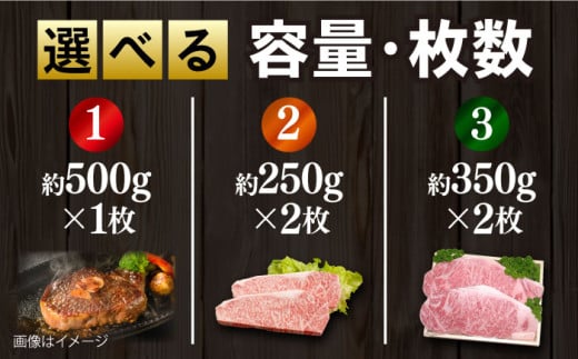 【数量限定20セット】サーロインステーキ計約500g（約250g×2枚）  ステーキ すてーき ステーキ肉 すてーき肉 牛肉 国産 ブランド 絶品 高級 極上 人気 おすすめ オススメ 葉山牛 厚切り