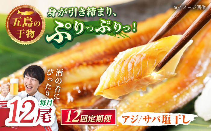 【12回定期便】【L】一夜干し 塩干し（アジ/サバ）計12尾 五島市/愛情食彩 [PCH028]