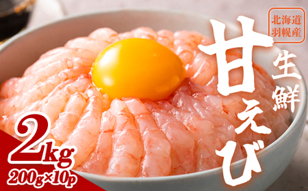 【おまとめ配送】超速リキッド凍結でドリップゼロ！北海道羽幌産生鮮甘えび200g×10パック【03120】