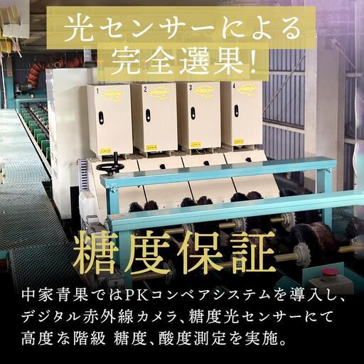 和歌山県産 糖度9.5度 以上 訳あり みかん 7kg 傷み補償+200g 3S ～ 2Ｌサイズ混合【MG58】