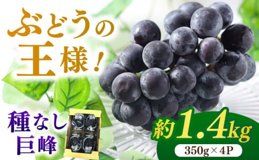 【★先行予約★ 2026年7月中旬より発送】種なし巨峰  約1.4kg ふどう ブドウ 葡萄 巨峰 種なし フルーツ 果物 果実 くだもの 旬 産地直送 福岡 新鮮 冷蔵 広川町 / JAふくおか八女農産物直売所どろや [AFAB017]