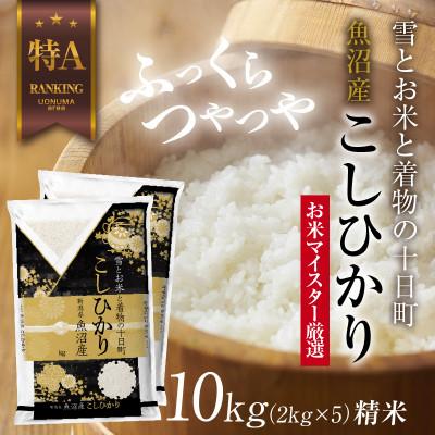 ふるさと納税 十日町市 魚沼産 コシヒカリ 2kg×5袋 計10kg(お米の美味しい炊き方ガイド付き)