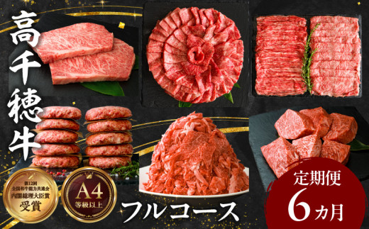 宮崎県産黒毛和牛A4等級以上 高千穂牛フルコース（6ヶ月定期便）| 牛肉 肉 お肉 精肉 定期便 サーロイン ステーキ 焼肉 BBQ ロース カルビ こま肉 小間切れ モモ ハンバーグ しゃぶしゃぶ すき焼き すきしゃぶ 薄切り スライス 国産 セット 詰め合わせ パーティー アウトドア キャンプ グランピング お祝い ギフト プレゼント  |_Tk002-t054