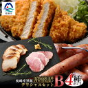 【ふるさと納税】鹿籠豚 とんかつ用ロース・ソーセージ・ハム・焼豚【合計1.0kg】 B3-5【配送不可地域：離島】【1166986】