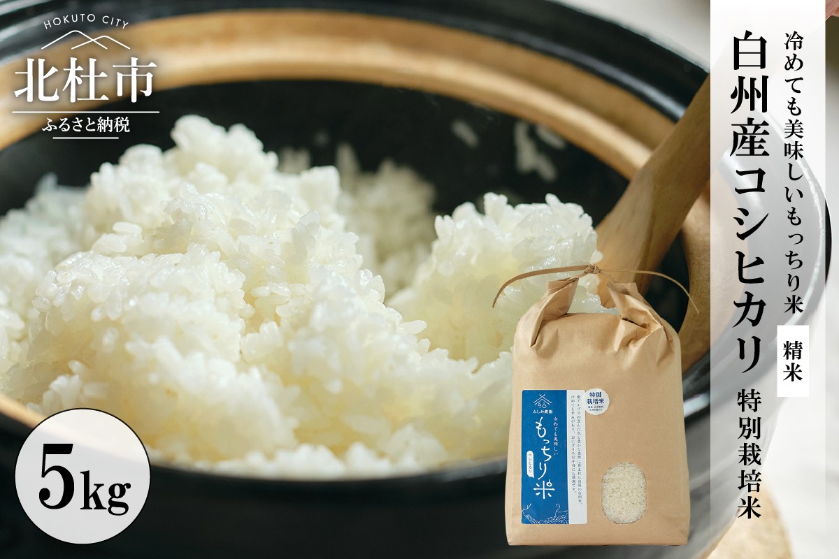 
                  【先行予約】【令和8年度新米】白州産コシヒカリ 特別栽培米 5kg　精米 もっちり米 甘み 貴重 もちもち おにぎり お弁当
                