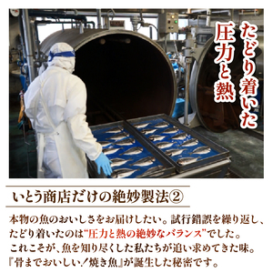 レンジ で簡単 骨まで美味しい 焼き魚 セット 3種 計 7枚 （ アジ ×2・ サンマ ×2・ 鰯 ×3） 焼き魚 焼き魚 焼き魚 焼き魚 焼き魚 