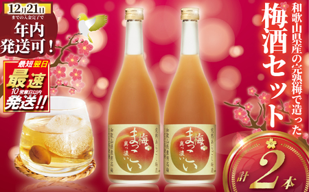メルシャン 梅酒 完熟梅で造った 2本セット 【梅酒】