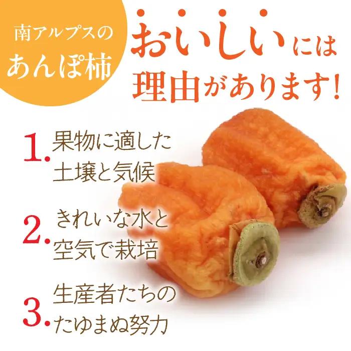 ＜2026年発送先行予約＞あんぽ柿「百目柿」 ALPAA025