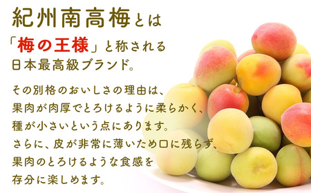 梅干し 無添加 訳あり はちみつ梅干1kg（500g×2） 紀州梅香 ◇  ｜ 梅干し