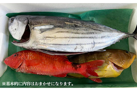 旬の地魚セット2kg（ウロコ・エラ・内臓処理済）鮮魚 魚介 刺身 五島市 / 五島FF [PBJ009]