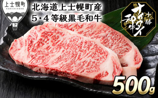 
［030-N50］発送月が選べる（～2024年8月まで）　北海道　和牛肉　5・4等級｜十勝ナイタイ和牛　サーロインステーキ＜計500g＞　※オンライン申請対応
