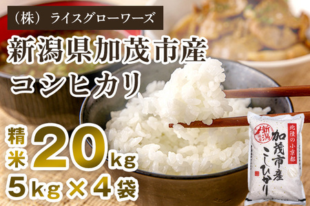 【令和8年産新米先行予約】新潟県 加茂市産コシヒカリ 精米20kg（5kg×4）《10月上旬～順次出荷》 （株）ライスグローワーズ