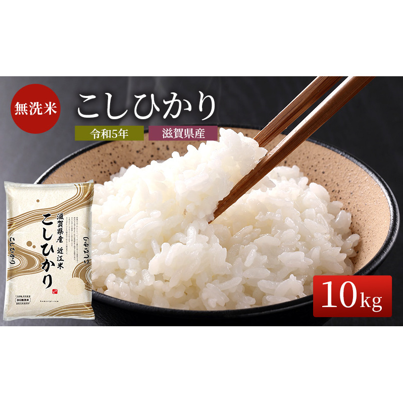 米 こしひかり BG無洗米 10kg 令和6年産新米 ふるさと応援特別米 無洗米 お米 こめ コメ おこめ 白米 コシヒカリ