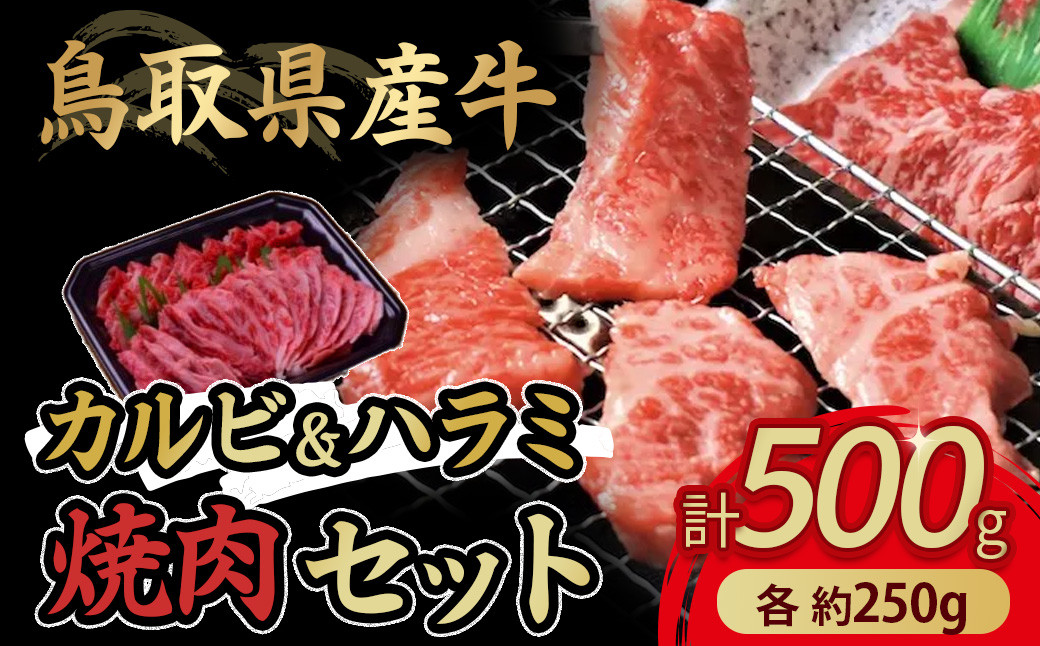 
                  鳥取県産牛 カルビ&ハラミ焼肉セット 国産 牛肉 焼肉 カルビ ハラミ セット 肉 鳥取県 倉吉市
                