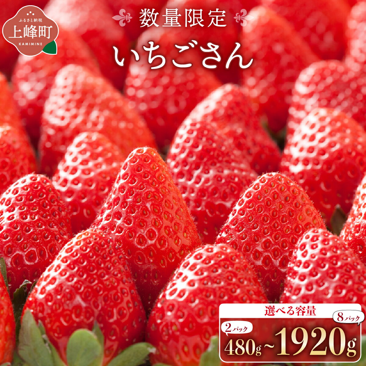 【ふるさと納税】【選べる容量・回数】佐賀県産いちご「いちごさん」計1920g(240g×8P) 計960g( 240g×4P) 計480g(240g×2P) イチゴ 苺 甘い 人気 フルーツ 果実 定期便 おすそ分け お取り寄せ