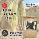 【ふるさと納税】 《先行予約》＜定期便2回＞ 玄米 10kg 新潟県産 コシヒカリ はざ掛け 天日干し 令和6年産 越後奥阿賀産 5kg×2袋 | 小会瀬 はざがけ こしひかり 一等米 送料無料 お取り寄せ お米 ※2024年10月中旬頃より順次発送