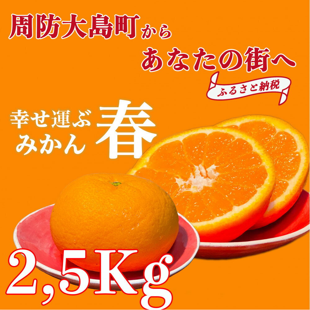 【ふるさと納税】【2026年3月より順次発送】山口県周防大島町からあなたの街へ幸せ運ぶ春みかん《ゆめほっぺ》2.5kg