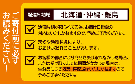 【先行予約】せいこがに 約150g以上×5杯【11月～12月発送予定】