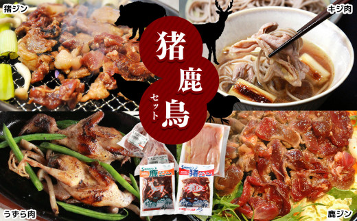 【人気のジビエ】猪鹿鳥セット |  食品 肉 ジビエ 信州 猪 猪肉 馬 鹿 ジビエの聖地 遠山ジンギス セット 里山 長野県 南信州 天龍村