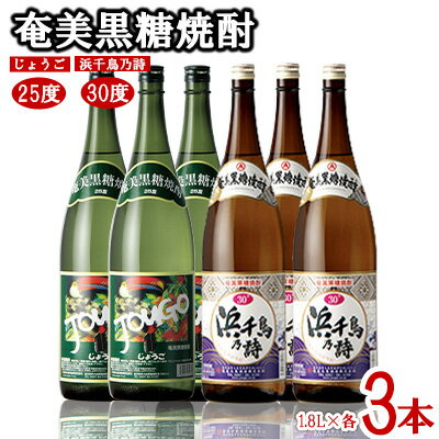 【ふるさと納税】奄美黒糖焼酎 じょうご25度・浜千鳥乃詩30度 1.8L瓶 各3本セット