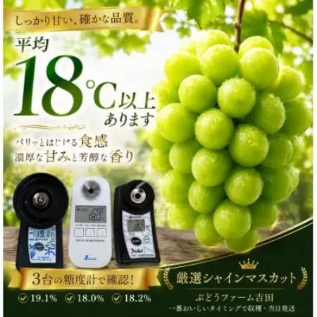 【お楽しみ福袋2026】シャインマスカット+その他の品種(計2-3種・400g×4)【配送不可地域：離島】【1754533】