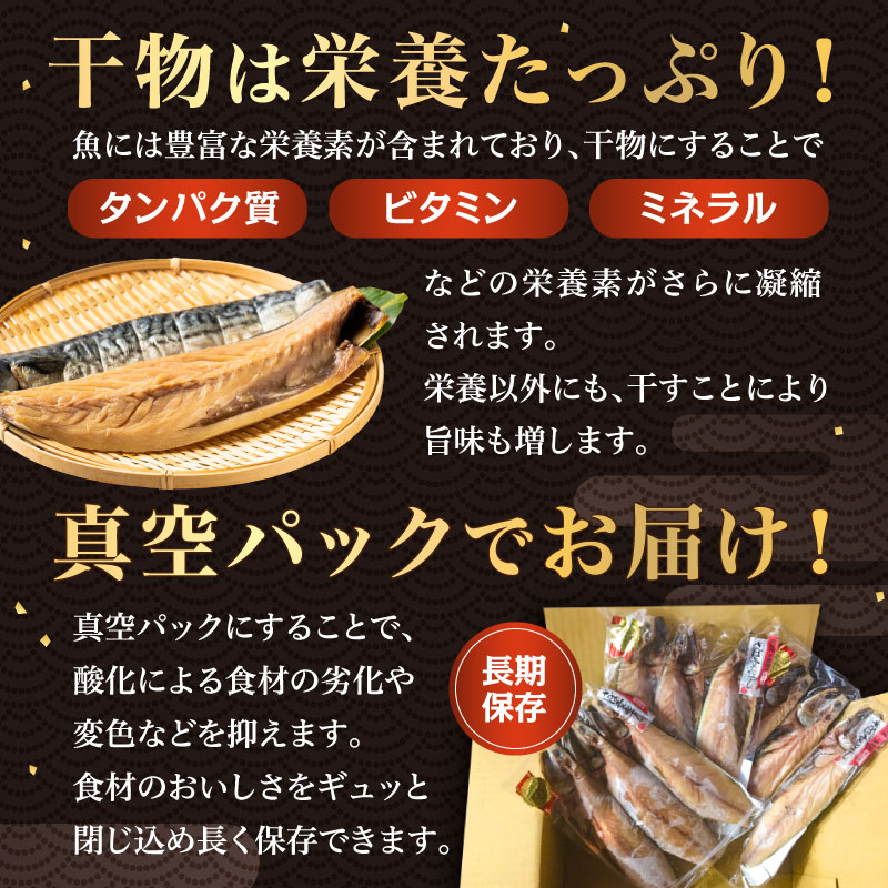 大日本水産会会長賞受賞 さば文化干し 3枚入り × 3パック （ノルウェー産）  