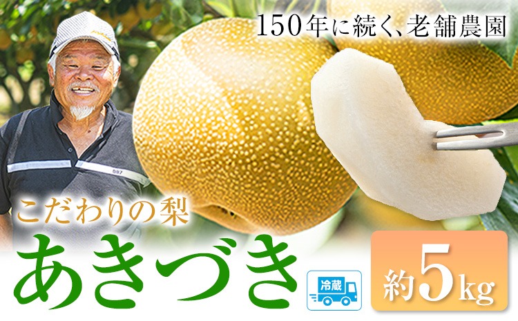 梨 あきづき 福岡農園 こだわりの梨 あきづき 約5kg 《9月上旬-9月下旬頃出荷予定》熊本県 氷川町 ナシ 秋 旬 熊本 フルーツ お取り寄せ 無袋栽培 送料無料 旬の梨 フルーツ梨 あきづき 約5kg nashi あきづき 旬---hkw_lcl_327_5kg---