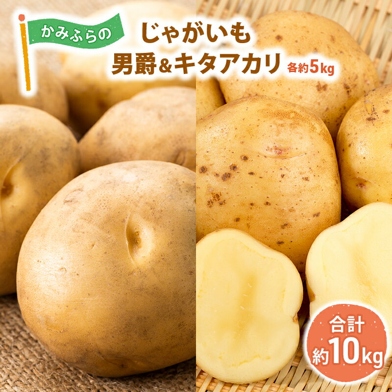 【ふるさと納税】【令和8年産】かみふらのじゃがいも「男爵5kg & キタアカリ5kg」 野菜 旬の野菜 北海道産 北海道野菜 国産 国産野菜 グルメ 食材 ポテト 北海道産じゃがいも 　お届け：2026年10月上旬～下旬まで
