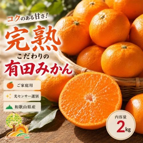 こだわりの完熟有田みかん 約2kg ご家庭用 (nuk004-c-2)【1755500】