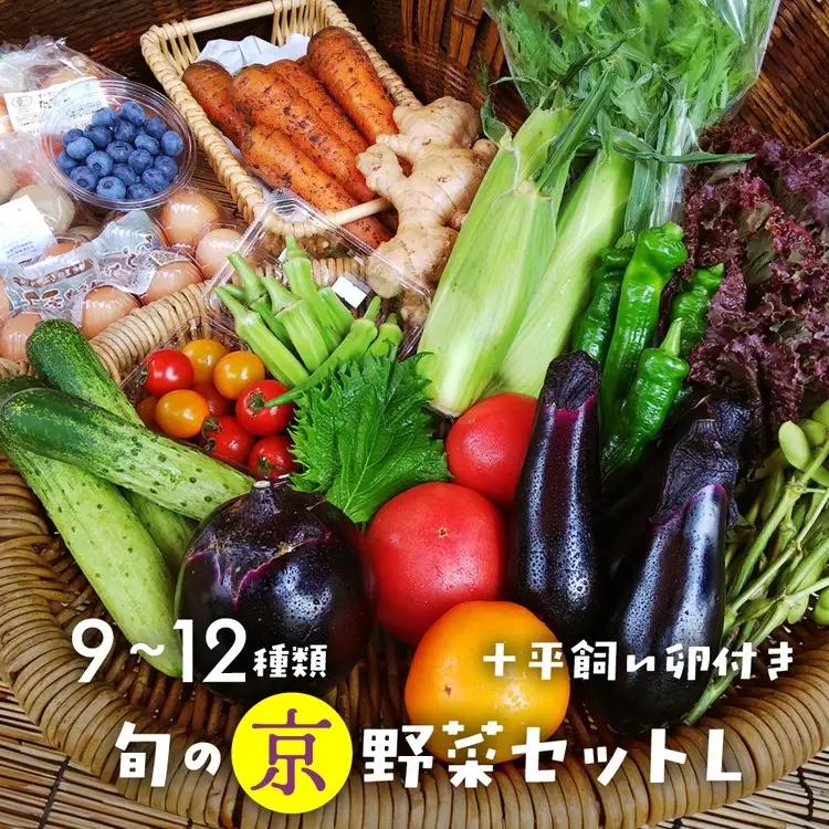 有機京野菜セットＬ 野菜 野菜 野菜 野菜 野菜