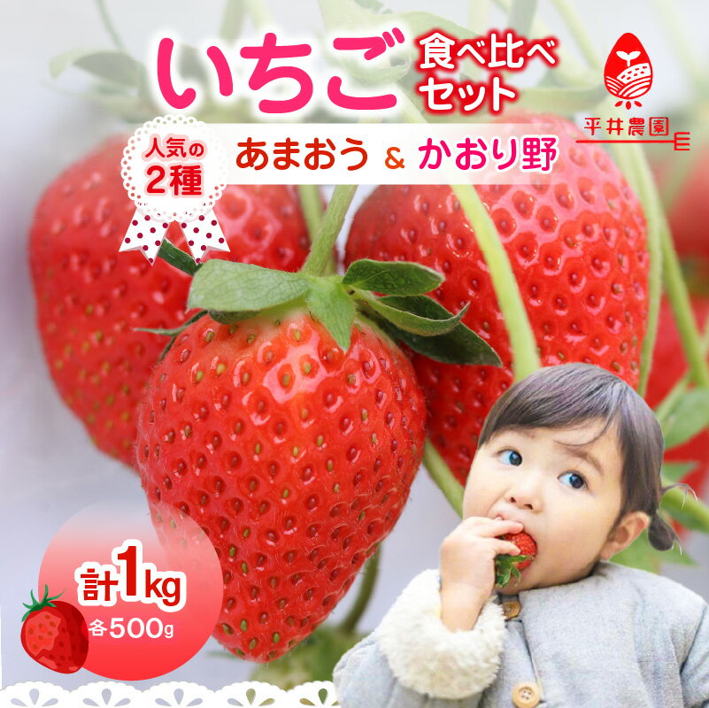 【ふるさと納税】人気の2種いちご食べ比べセット「あまおう500g」＋「かおり野500g」合計1kg｜2026年2月〜順次発送＜ひらい観光農園＞ あまおう かおり野 いちご 苺 イチゴ フルーツ 果物 福岡県産 食べ比べ セット 冷蔵配送 数量限定 期間限定 産地直送 福岡県 八女市