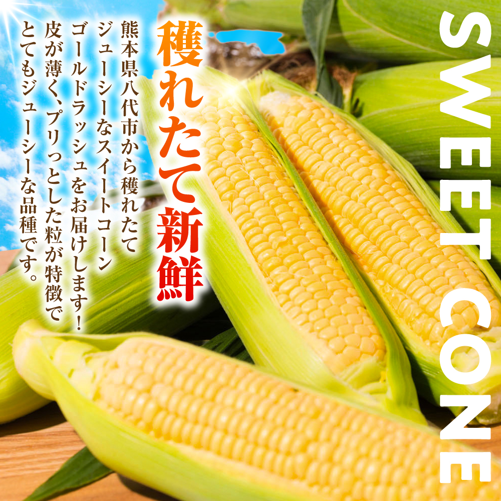 【先行予約】プリッとジューシー！ 熊本県 八代市産 スイートコーン ゴールドラッシュ 約4.5kg (13～16本) とうもろこし トウモロコシ コーン 甘い 【2026年6月上旬より順次発送】