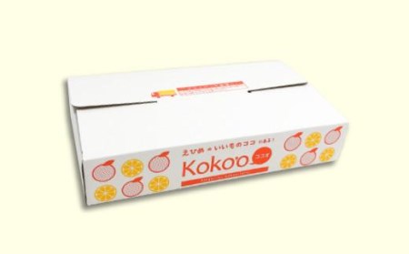 「いちずみ」食べ比べセット６個入り (ぶどう入り) (ココオ簡易BOX入り) おすすめ 人気 ギフト セット 愛媛県 松山市【KK0871】