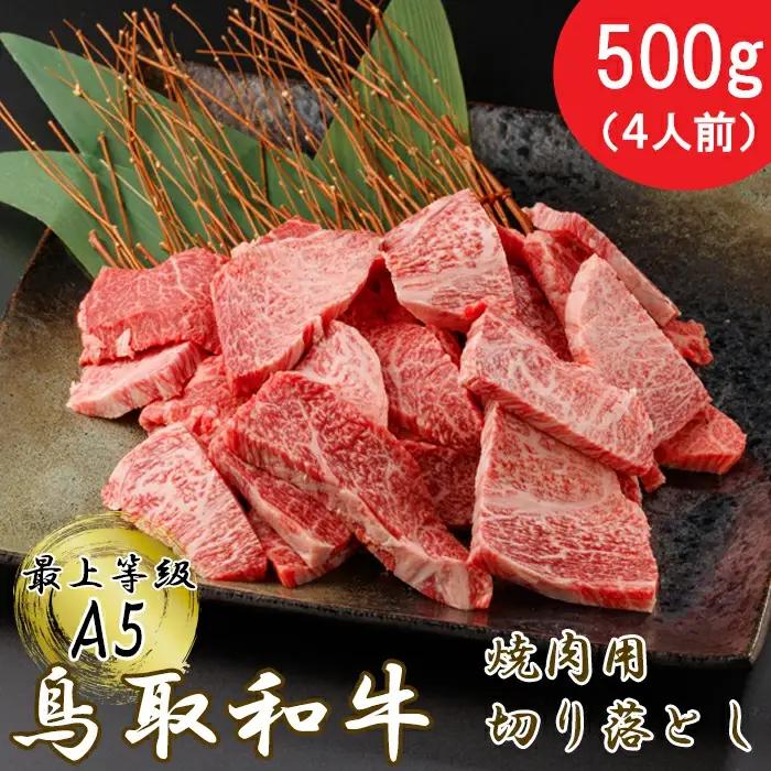 【A5】鳥取和牛ふぞろい焼肉切り落とし 500g【肩ロース サーロイン 三角バラ ランプ ヒレ ランダム 焼き肉 やきにく 切落し 切り落し 和牛 不揃い ご自宅用 ギフト 熨斗 プレゼント お取り寄せ グルメ 冷凍】