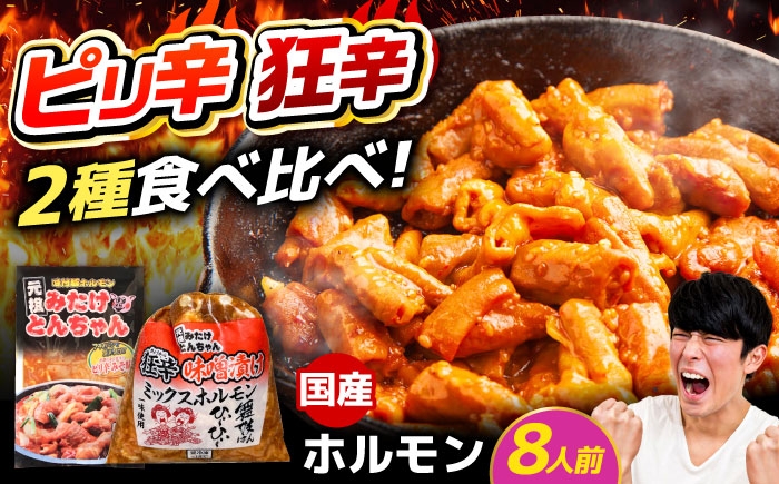 
            「元祖みたけとんちゃん」 【辛口セット】 ピリ辛みそ味×ミックスホルモン狂辛（8人前）/ モツ もつ ホルモン レバー 辛口 / 御嵩町 / 藤よし [AVAA055]
          