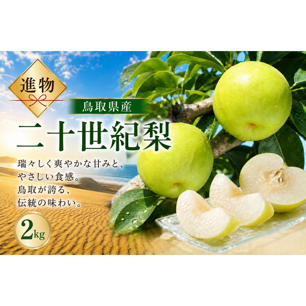 【ふるさと納税】山根農園 二十世紀梨 2kg【2026年8月下旬以降発送】 | フルーツ 果物 くだもの 食品