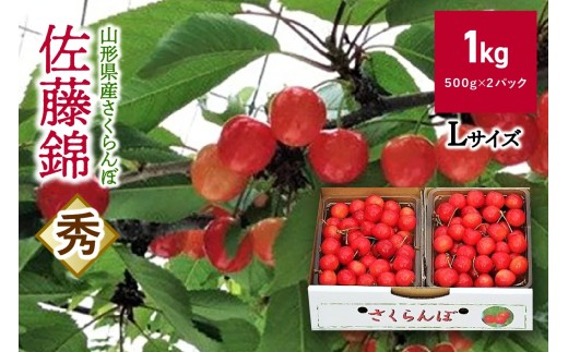 さくらんぼ（佐藤錦）１ｋｇ　0069-2606