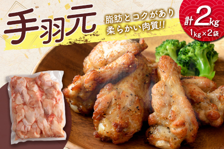 宮崎県産鶏肉 スペシャル鶏三昧セット 合計5kg【B607】