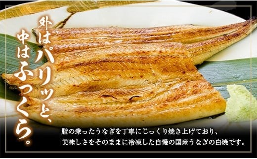 ◆中村商店 うなぎ白焼2尾セット 計362g以上 肝焼き付 うなぎ白焼 2尾