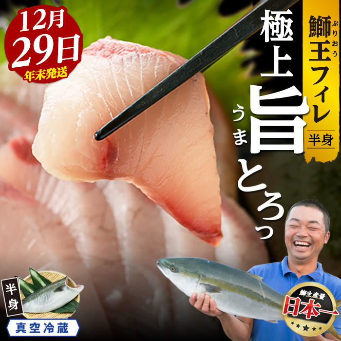 ＜数量限定＞【2025年12月29日発送】『旅サラダ』で紹介ぶりの王様「 鰤王 」 フィレ 半身 (約1.2kg～・フィレ1枚) 産地直送 新鮮 旨味が抜群の 長島町 特産品 ブランド ぶり 鰤 ブリ 切り身 真空 冷蔵 刺身 ぶりしゃぶ しゃぶしゃぶ 魚 魚介 人気 ランキング 年末年始発送 【JFA】_jfa-7006-29