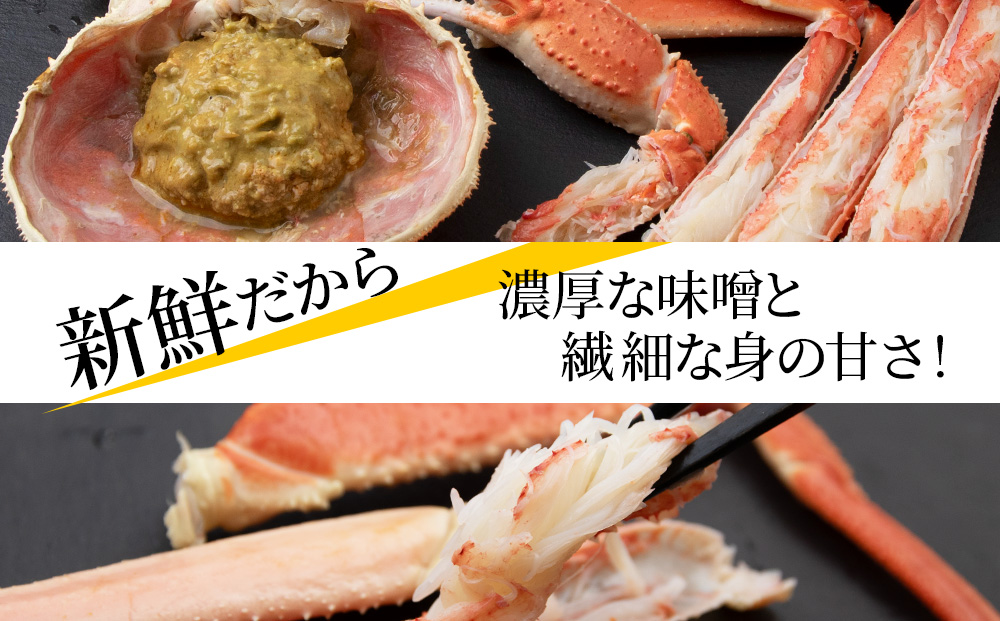 【7営業日以内発送】訳あり オオズワイガニオス 大サイズ (約300～600g) 浜ゆで 2kg (4～5尾入) AS223