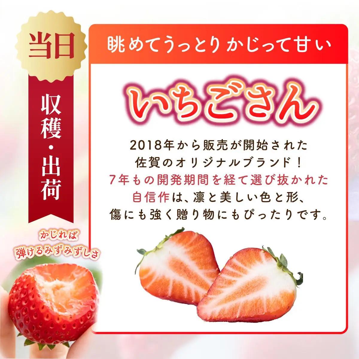 【先行予約】数量限定！佐賀県人気No.1苺”いちごさん” たっぷり約1.9㎏（235g×8p）