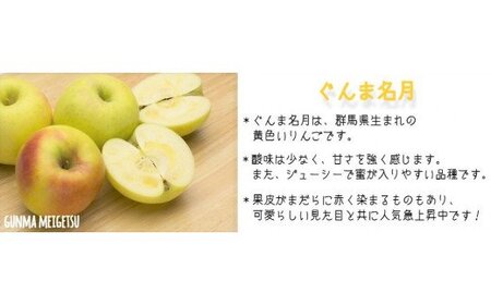 りんご ぐんま名月 家庭用 3kg ファームトヤ 沖縄県への配送不可 2025年11月中旬頃から2025年12月下旬頃まで順次発送予定 令和7年度収穫分 信州 果物 フルーツ リンゴ 林檎 名月 長野