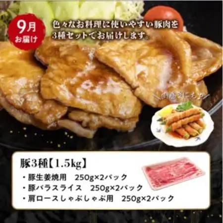 【発送月固定定期便】鹿児島県産 カミチク豚 定期便(南九州市)全4回【配送不可地域：離島】【4081547】