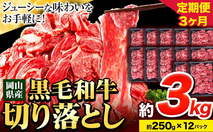 牛肉 肉 黒毛和牛 切り落とし 訳あり 大容量 小分け【定期便】 3kg 1パック 250g 3回 《お申込月の翌月より発送》岡山県産 岡山県 笠岡市 お肉 にく カレー 牛丼 切り落し 切落し 黒毛和牛 牛肉 黒毛和牛 牛肉 黒毛和牛 牛肉 黒毛和牛 牛肉 黒毛和牛 牛肉 黒毛和牛 牛肉 黒毛和牛 ---223_f745tei_23_90000_9kg---