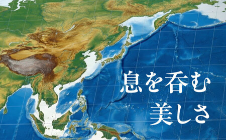 日本語版 大型世界地図『WORLD MAP OWNER'S』アルミフレーム Lサイズ 世界地図 インテリア 大型 オフィス【株式会社ダイケン】[AYDT002]